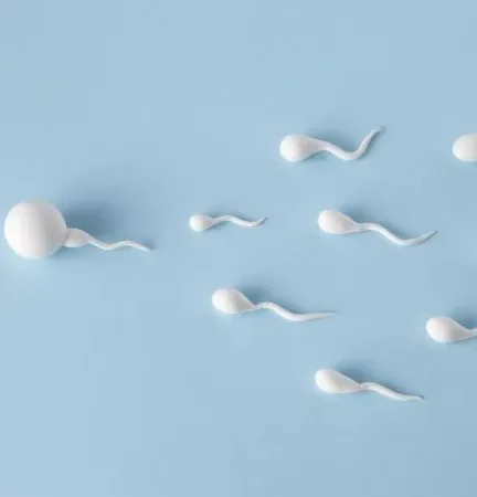 Oligospermia