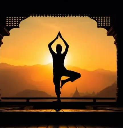 Well Health Organic Ayurveda